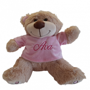 pink teddy in t-shirt
