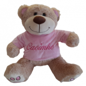 Large teddy bear
