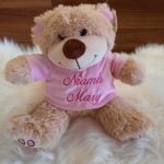 personalised soft toys / teddy in t-shirt