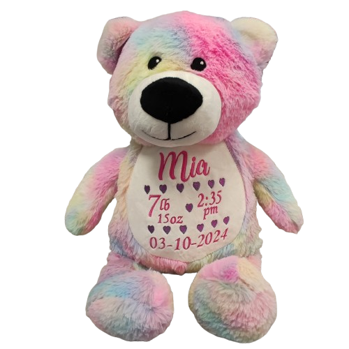 rainbow teddy